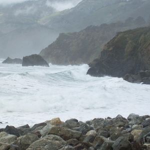 Meet your Posher, Dave